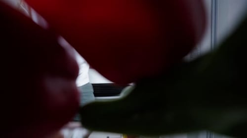 Inside Fridge, Adult Grabs Peppers