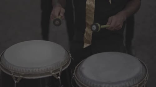 tambores de fiesta, músicos, percusión artística