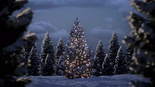 Christmas Tree Glowing In A Winter Forest At Night