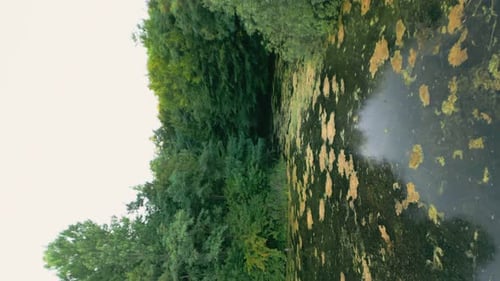 Alter Waldsee