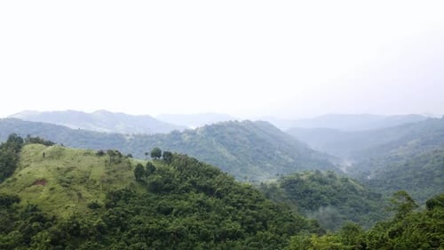 Aerial View of Forest at the clear sky and beautiful summer landscape.