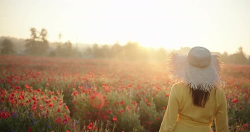 Rear View of Woman in a Yellow Dress and Straw Hat Walking in Poppy Field at Sunrise