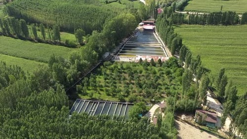 Aerial View Of Fish Ponds And Fish Farm