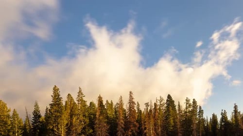 Time Lapse of the clouds above a forest