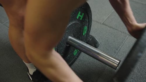 Woman lifts weights in gym during workout session focusing on strength training and physical fitness