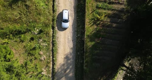 Top View Of A Car Driving On Dirt Road With Conifer Trees. Aerial Topdown Shot