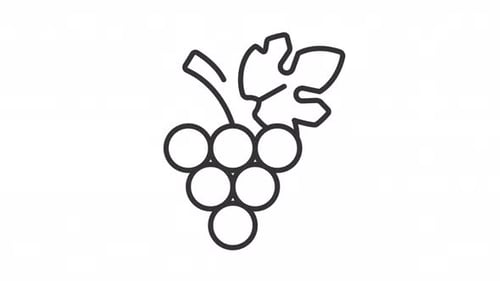 Wine Manufacture Linear Animation