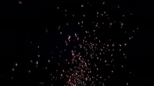 Coffee Beans Falling in Slow Motion on Black