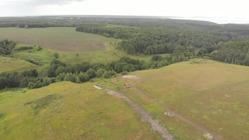 Summer Field