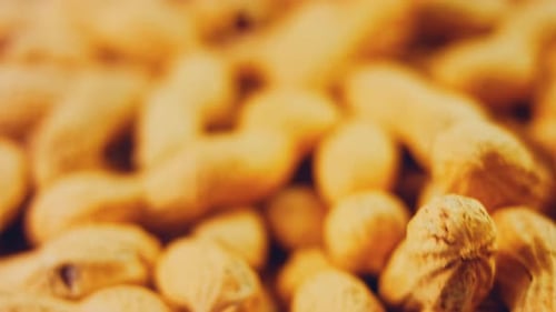 Waviness Effect of Peanuts with Bark on a Retro Tray