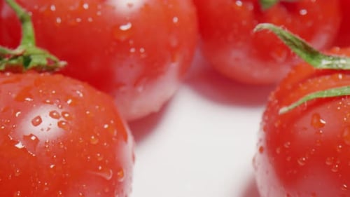 Fresh Tomatoes with Water Droplets Close Up