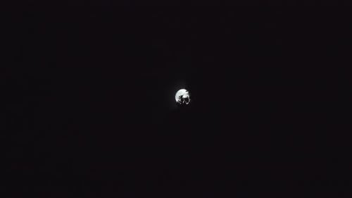 Bright Full Moon at Night Behind Tree Branches