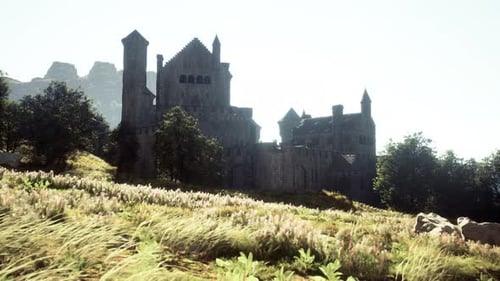 Aerial View Ruins of Medieval Castle