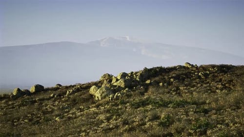Serene Ridge Illuminated with Gentle Sunlight and Distant Snowy Mountains