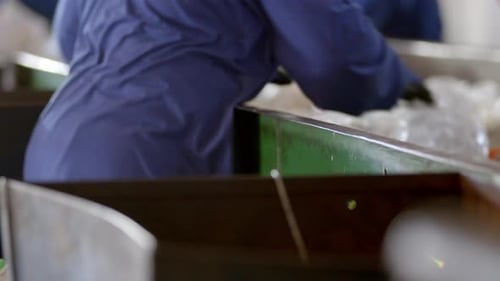 Plastic Recycling Plant Workers Sorting Materials