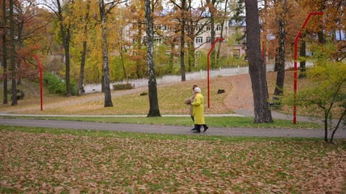Extreme Weitwinkelaufnahme eines liebenden Seniorenpaares, das im herbstlichen Stadtpark im Freien spaziert