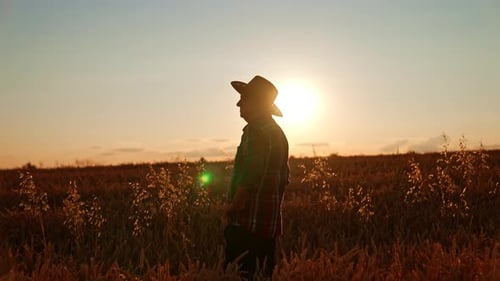 Senior Farmer in Wheat Field at Sunrise