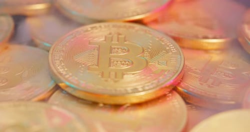Niebla Bitcoin Money Gold