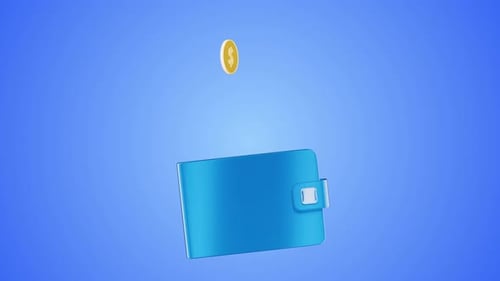 Coins fall into a wallet Animation. Cashback. Income. Profit money. Credit. Receiving the money. Pay