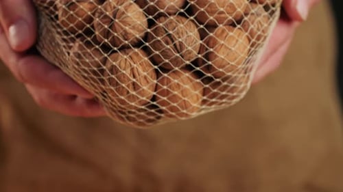 Whole Walnut in a Mesh Bag Closeup Man Holding a Bag with Nuts in Hands Walnuts in a Shell Healthy