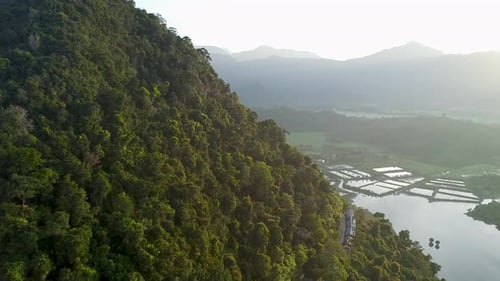 Vue aérienne de la forêt estivale verdoyante et de l'étendue résidentielle environnante