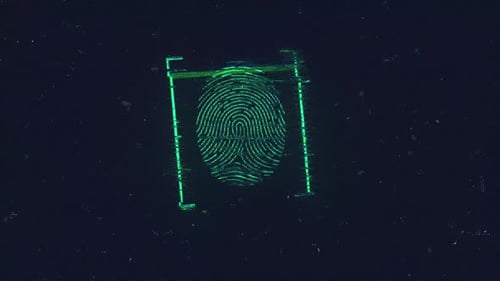Digital Fingerprint Scan with Access Granted