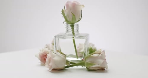 Elegante Parfümflasche verziert mit rosa Rosen auf weißem Hintergrund