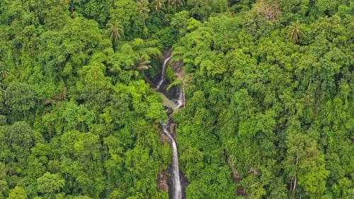 Aerial view of bali waterfall flowing in dense tropical rainforest