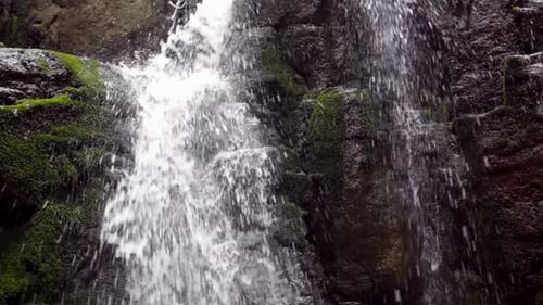 Mountain Waterfall Flowing in Forest