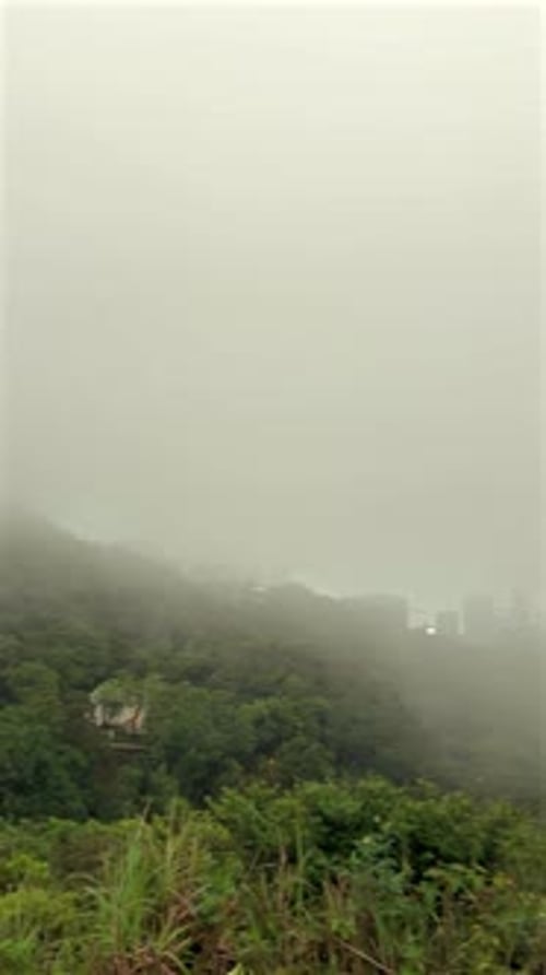Misty Cityscape View From High Vantage Point Overlooking Dense Urban