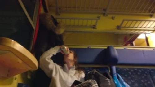 Plan fixe flou d'une personne buvant une boisson alors qu'elle voyageait dans la cabine d'un train de voyageurs hongrois