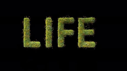 Green Grass LIFE Title On Alpha