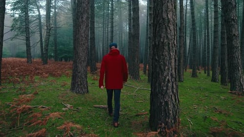 Alter Mann mit roter Jacke erkundet den Nebelwald in der Herbstsaison