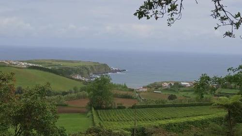 Camera Panning Over Green Fields and Blue Ocean
