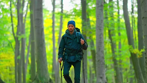 Green Forest And Man
