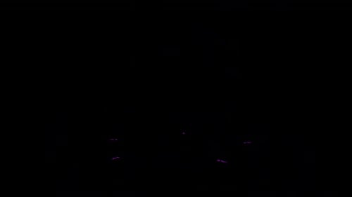 Minimalist Text and Logo Reveal Animation