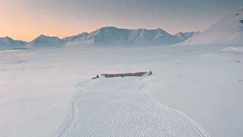 Vista aérea: montanhas cobertas de neve e rebanhos selvagens