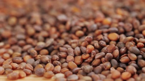 Alfalfa Seeds or Medicago Isolated on White Top View Small Lucerne Grains Uses As Healthy Superfood