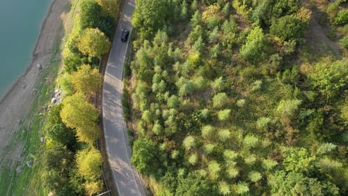 Aerial Forest Road