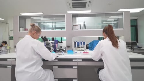 Women in Lab Coats Working with Microscopes