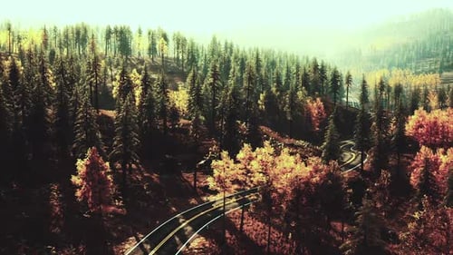 Winding Asphalt Road Through Colorful Mountain Forest During Autumn Daylight