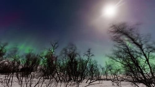 Timelapse of the Northern Lights illuminating a snowy landscape in Finland at night