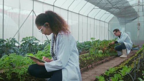 Scientists Examining Plants in Greenhouse with Digital Tablet