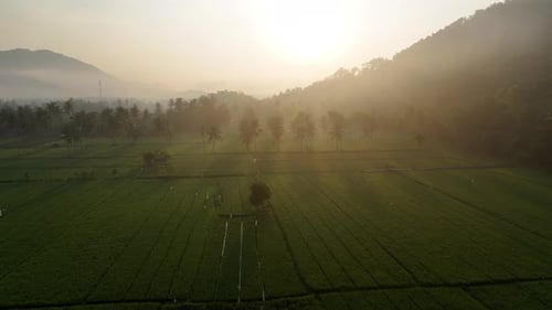 Morning atmosphere in Tempos hamlet