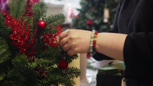 The Mother's Hands are Hanging Decorations on a Branch of the Christmas Tree in Preparation for the