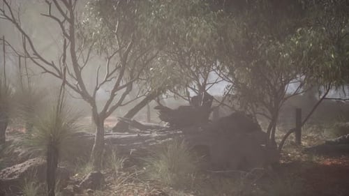 Misty Forest Landscape Animation with Fog and Trees