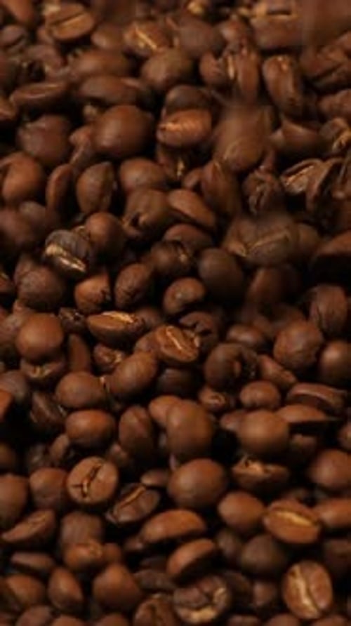 Vertical slow motion of roasted coffee beans falling.