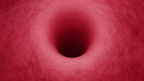 Tunnel veineux. Des pulsations veineuses creuses. La caméra se déplace dans la veine.