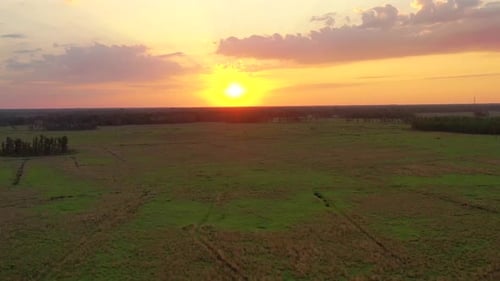 Big orange sun over the grasslands of Land O'Lakes in Florida.