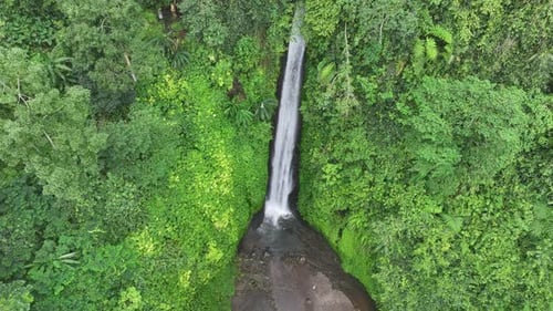 A beautiful waterfall hidden in the lush tropical jungle of Bali, Indonesia - Aerial View
